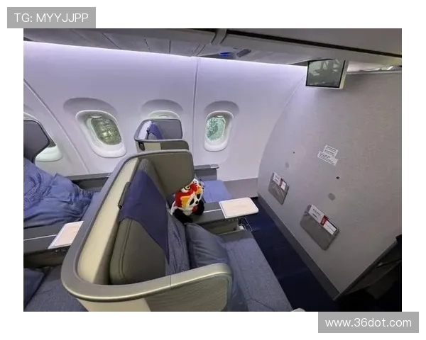 飞机客舱内饰材料的挥发性