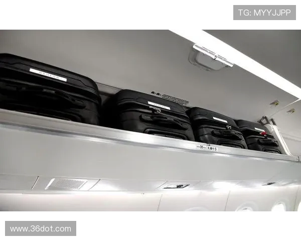 飞机客舱行李架的液压助力开启